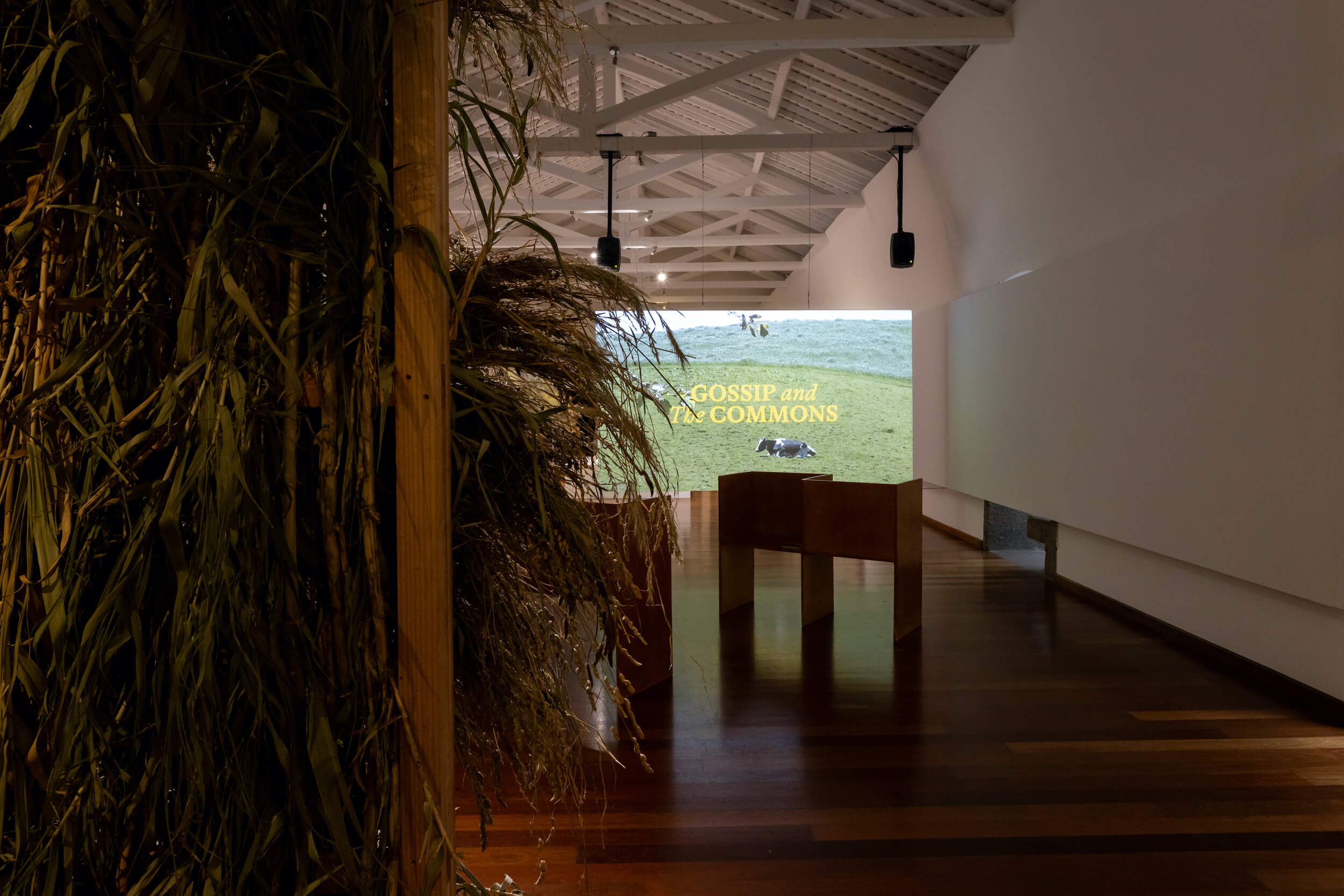Gestures of Abundance: Convento dos Franciscanos