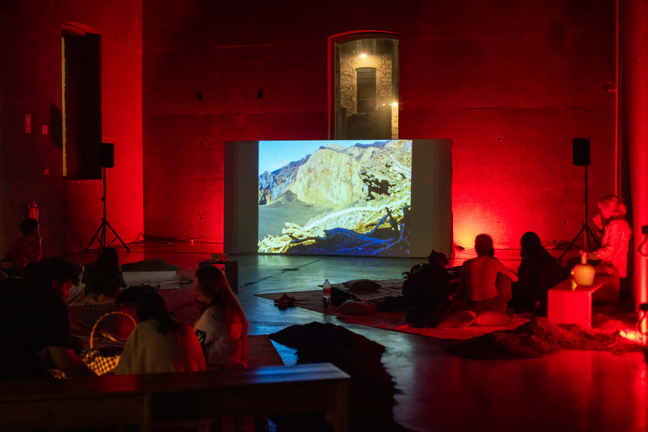 cara lavada bienal walk talk